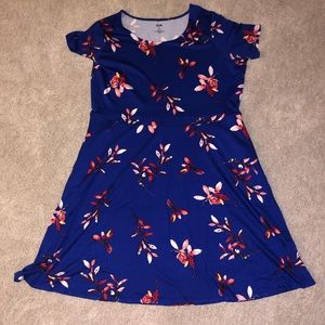 Evri brand dress 1X